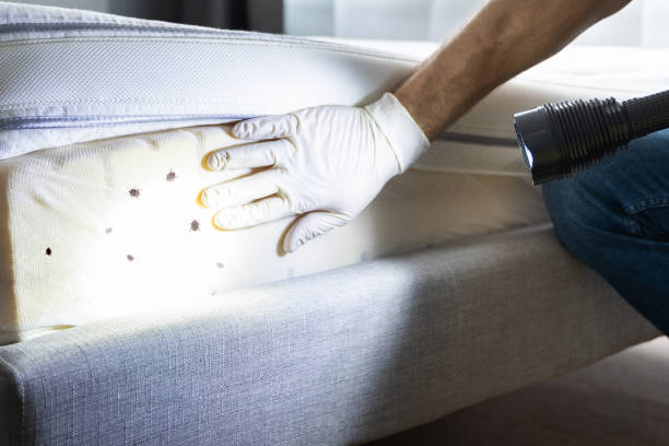 Best Best Pest Control Companies  in Barre, VT