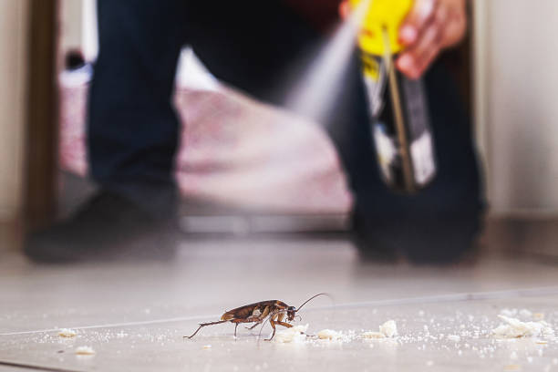 Best Local Pest Control Services  in Barre, VT